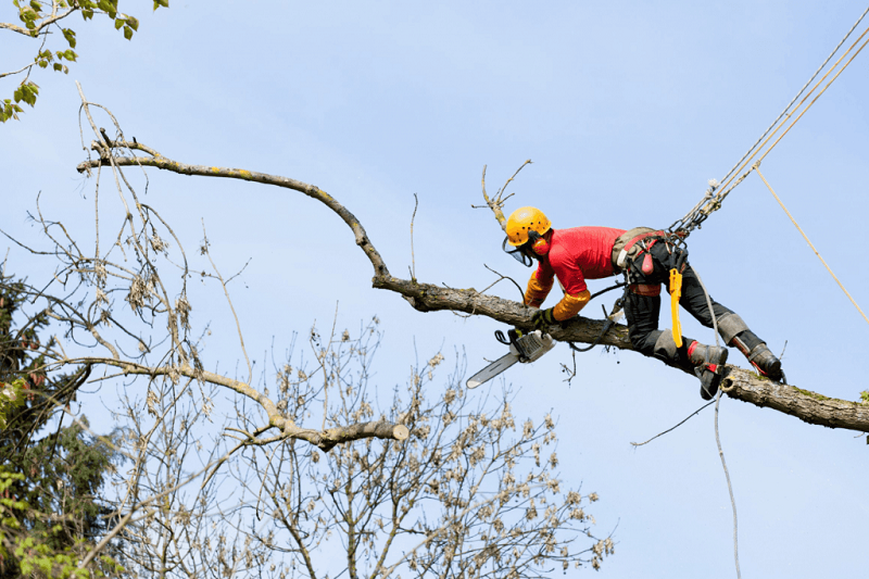 Cutting Overhanging